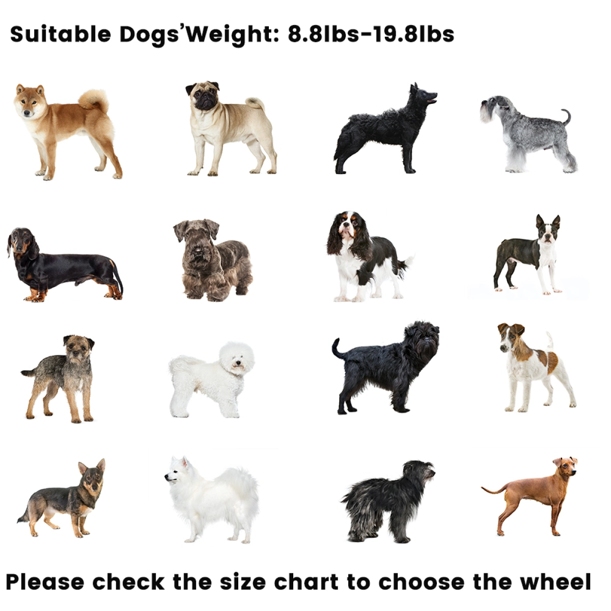 Lispoo Dog Wheelchair for Hind Legs