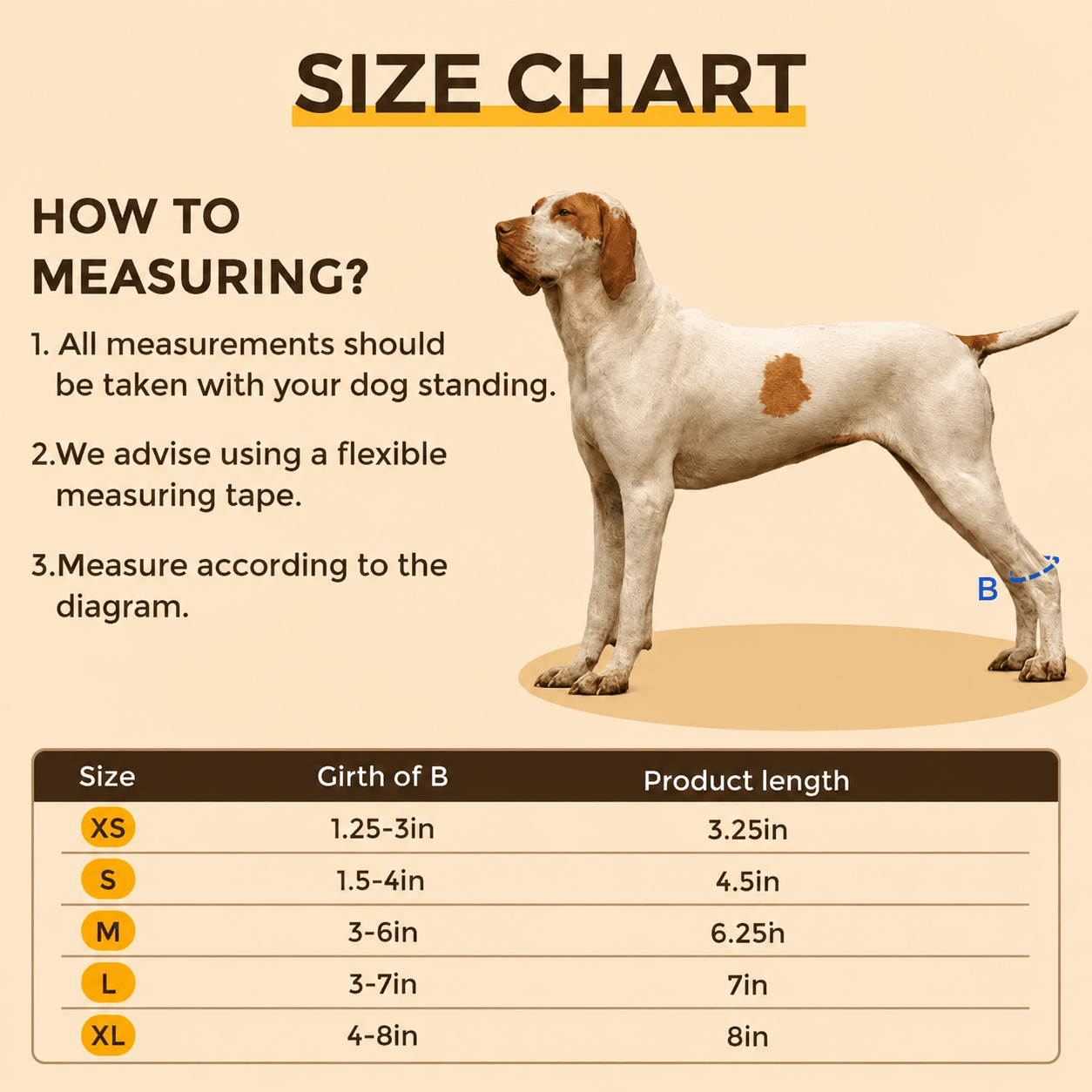 Lispoo Rear No Knuckling Training Sock For Dogs