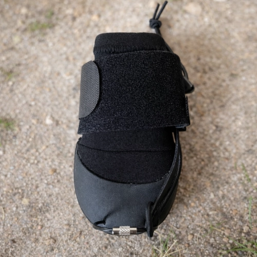 LISPOO Toe-Up No Knuckling Dog Boot Brace review Sebastian
