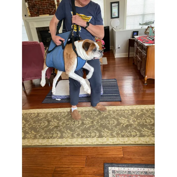 Lispoo Reliable Lifting Support for Senior, Injured Dogs review Jack