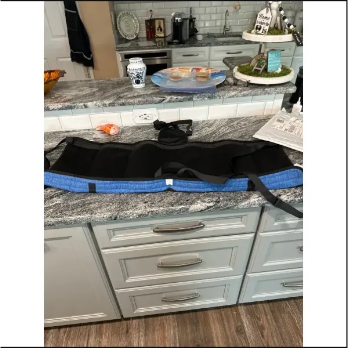 Lispoo Reliable Lifting Support for Senior, Injured Dogs review Lucyan 02