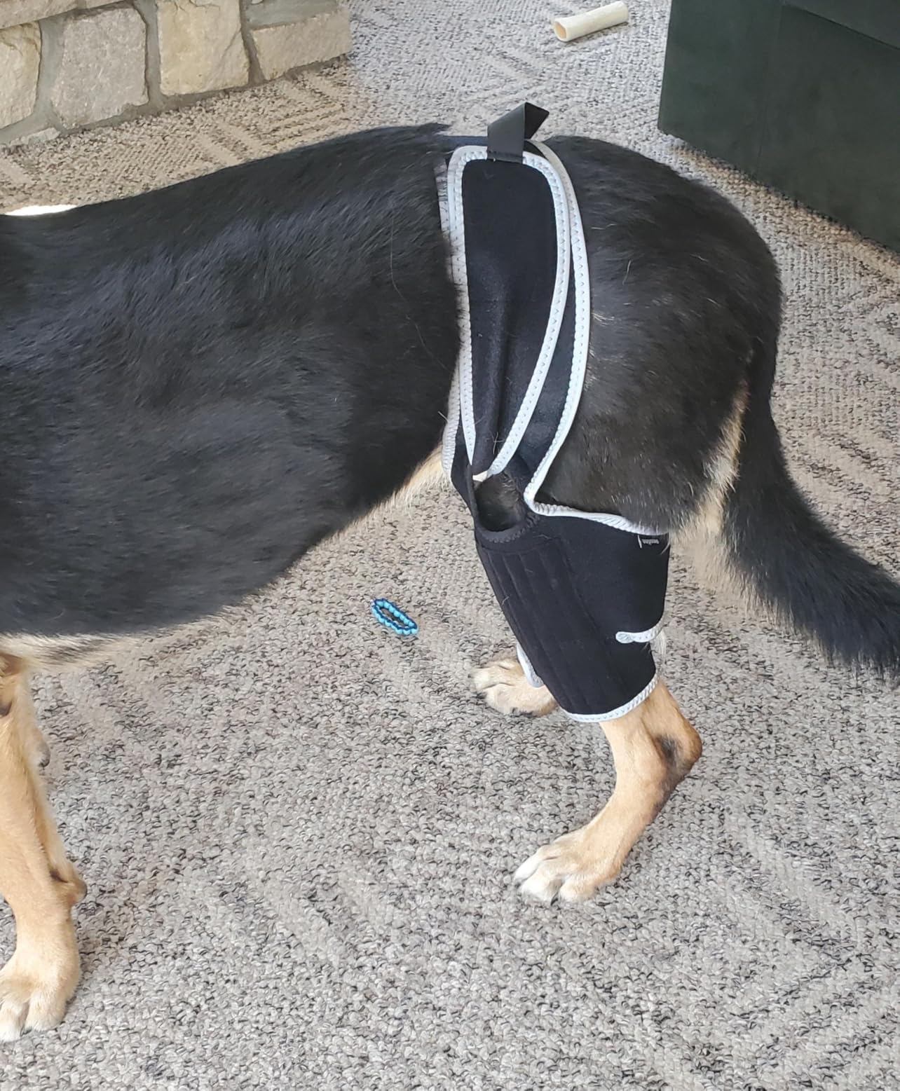 Lispoo Universal Dog Leg Brace review WSLINY