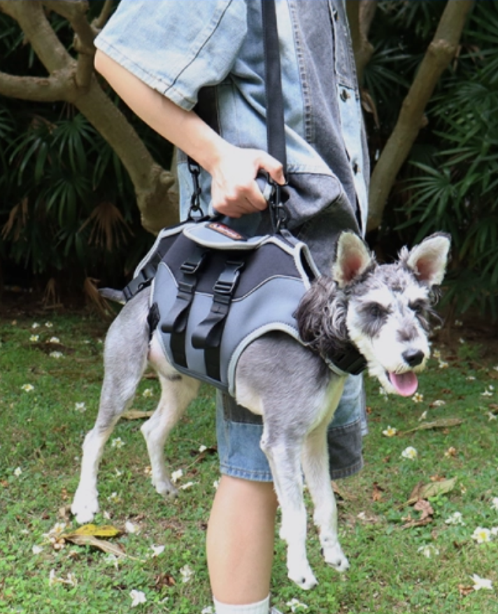 Lispoo Dog Lifting Harness for Disabled & Senior Dogs review Eve McGuire