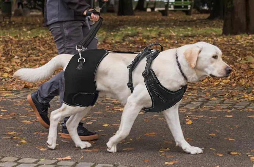 Lispoo Dog Hip Support Brace with Lift Handle review LUKAKA