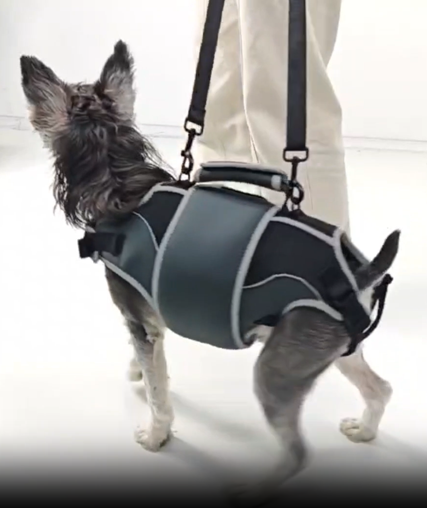 Lispoo Dog Lifting Harness for Disabled & Senior Dogs review Theresa Chavez