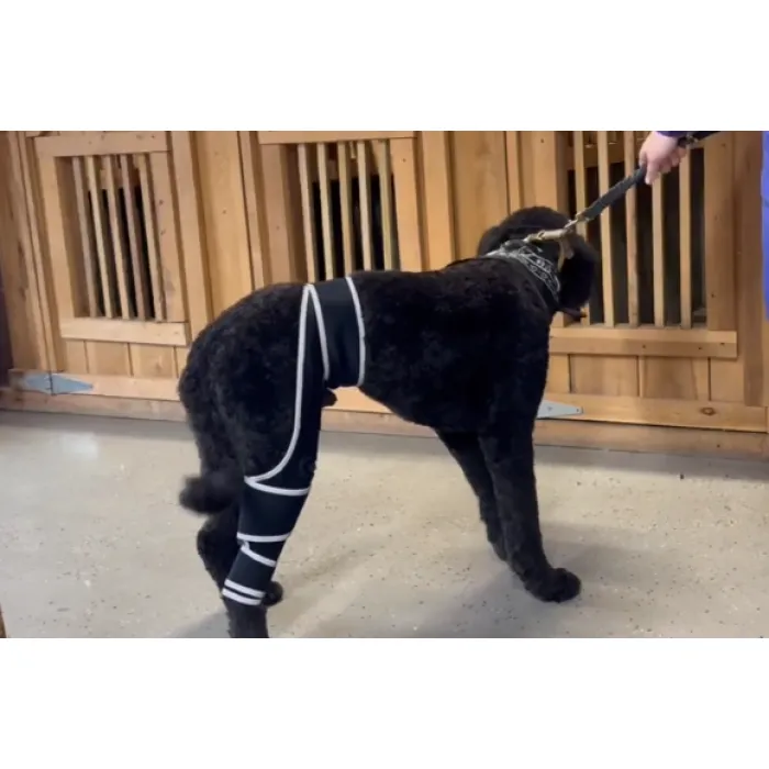 Lispoo Dog Leg Brace review RIta