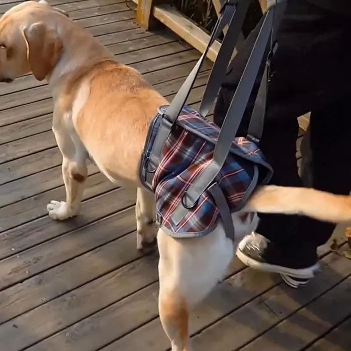 Lispoo Dog Mobility Lift Harness for Hind Legs  review jio 01