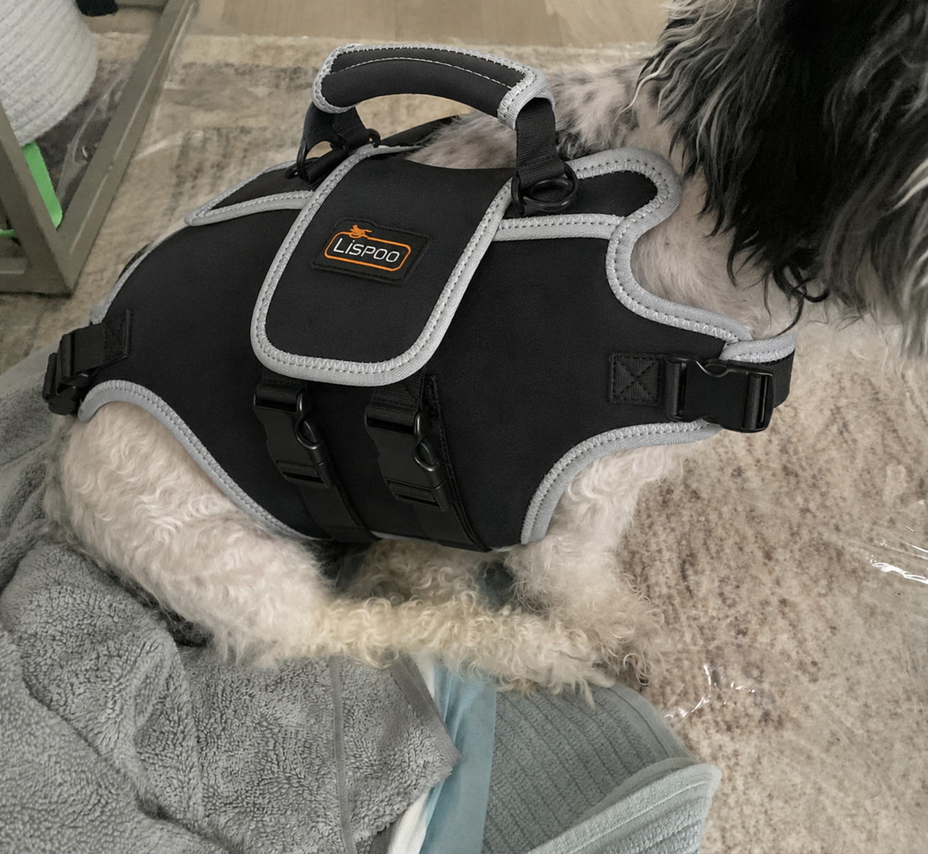 Lispoo Dog Harness Lift Assist review Helen Pickett