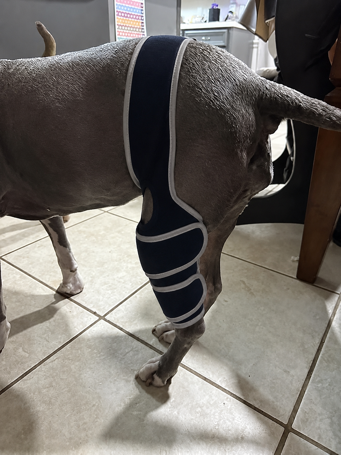 Lispoo Dog Leg Brace review Joe S Soto