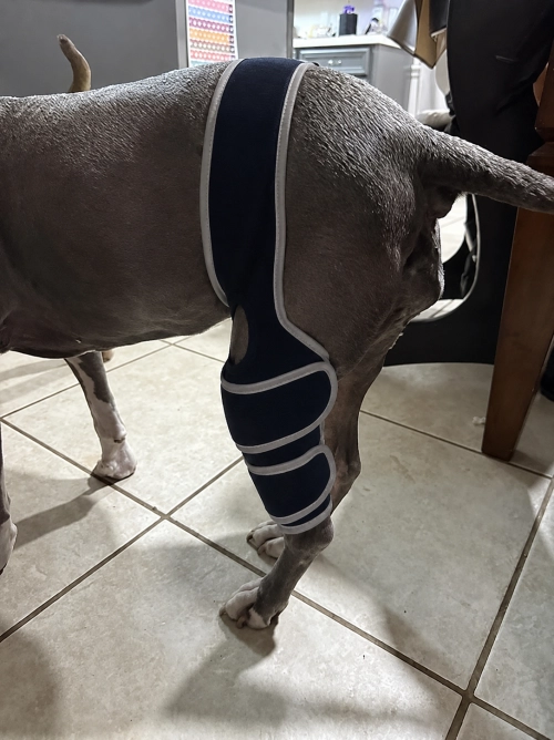 Lispoo Dog Leg Brace review Joe S Soto