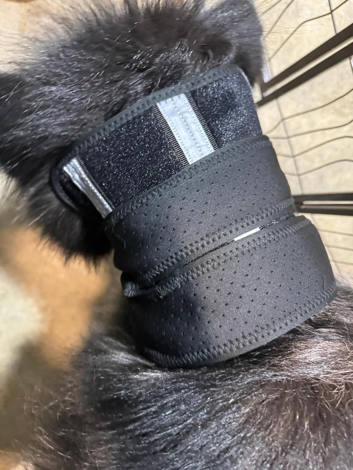 Lispoo Dog Neck Brace Collar review Helen Pickett 00
