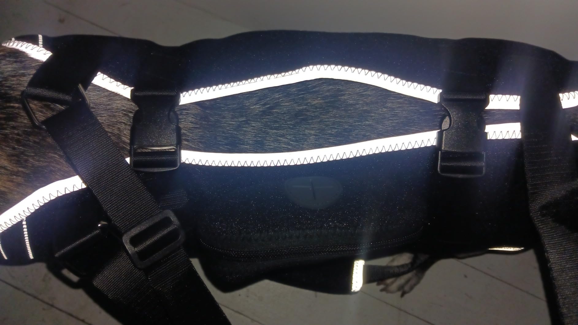 Lispoo Dog Harness Lift Assist review Maria Lynn