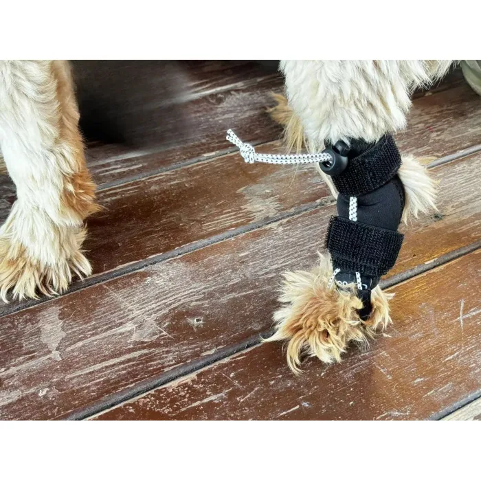 Lispoo Rear No Knuckling Training Sock For Dogs review James Morris