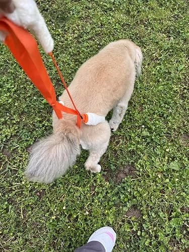 Lispoo Dog Sling for Back Legs review Edward Daniels