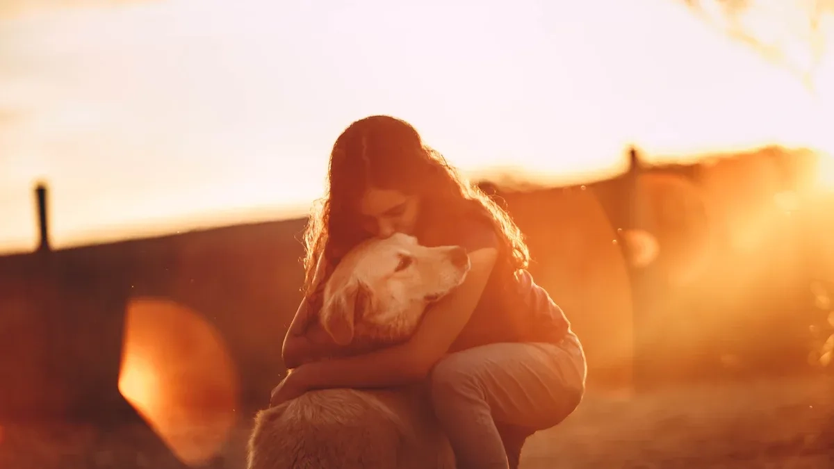 Best Dog Patella Luxation Brace Options Compared for 2026