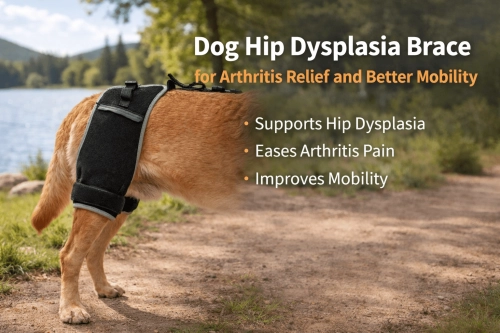 Dog Hip Dysplasia Brace for Arthritis Relief and Better Mobility