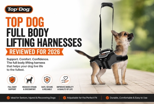 Top Dog Full Body Lifting Harnesses Reviewed for 2026