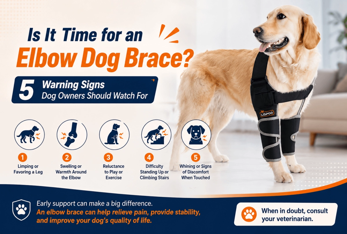 Is It Time for an Elbow Dog Brace 5 Warning Signs Dog Owners Should Watch For