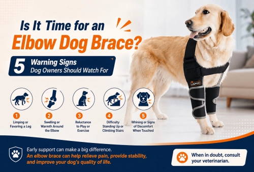 Is It Time for an Elbow Dog Brace 5 Warning Signs Dog Owners Should Watch For