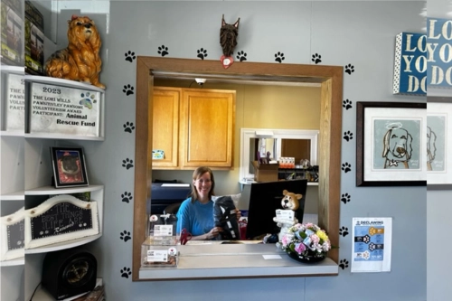 LISPOO | Donate with Love, Help More Dogs
