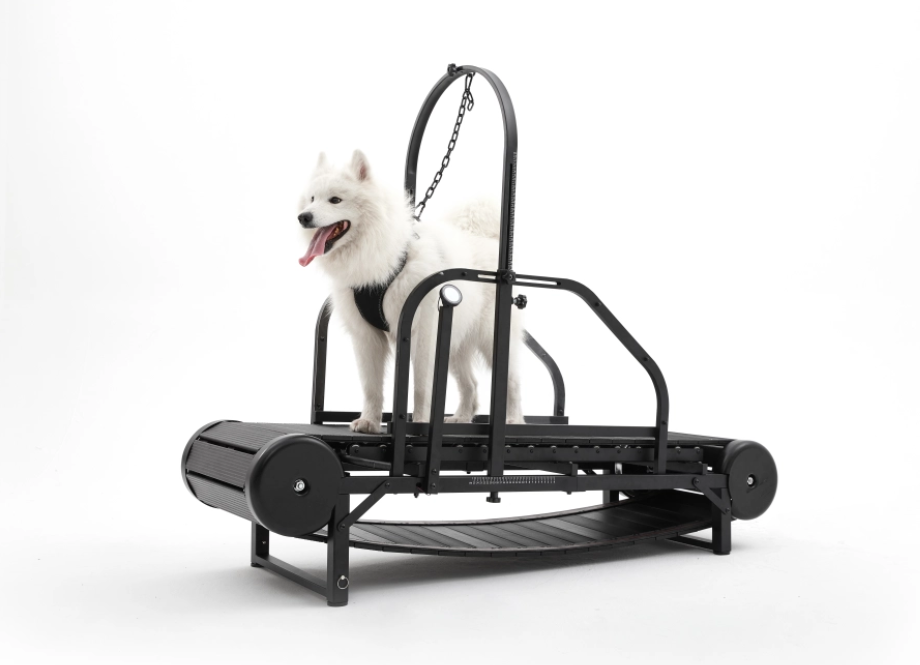 LuckyDogPet Non-Electric Dog Treadmill
