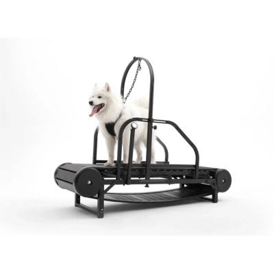 LuckyDogPet Non-Electric Dog Treadmill 01
