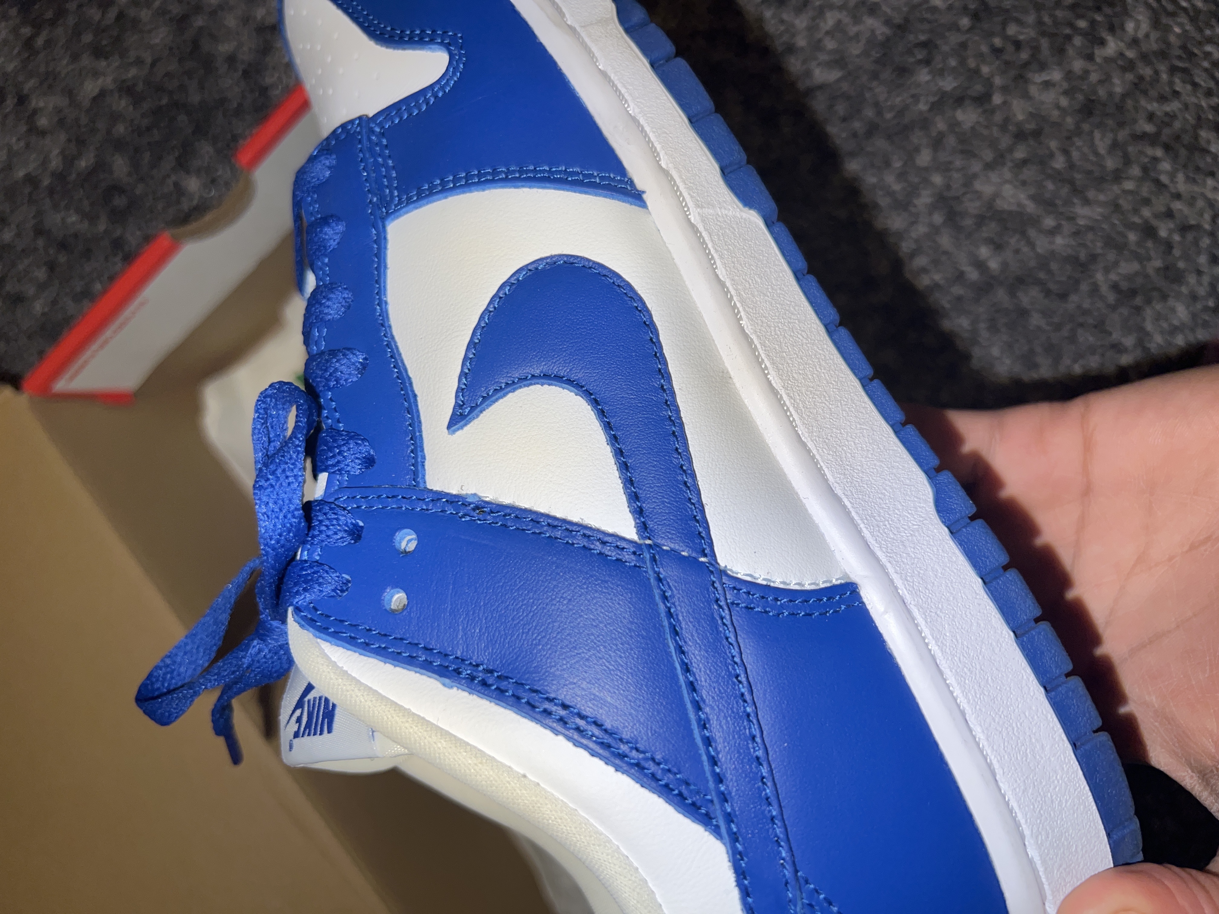 PKGoden  Dunk Low SP Kentucky (2020), CU1726-100 review 2
