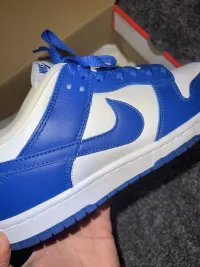 PKGoden  Dunk Low SP Kentucky (2020), CU1726-100 review 2