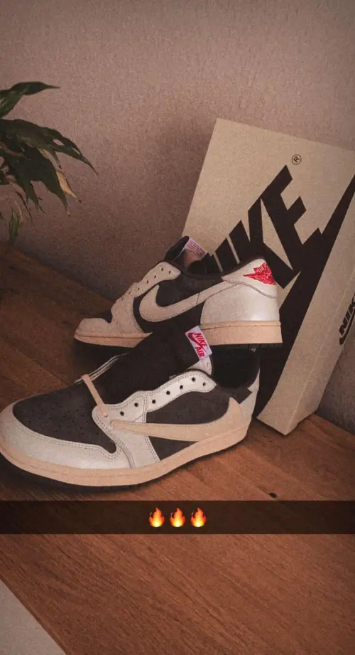 LJR Jordan 1 Low OG Reverse Mocha x Travis Scott, DM7866-162 review 