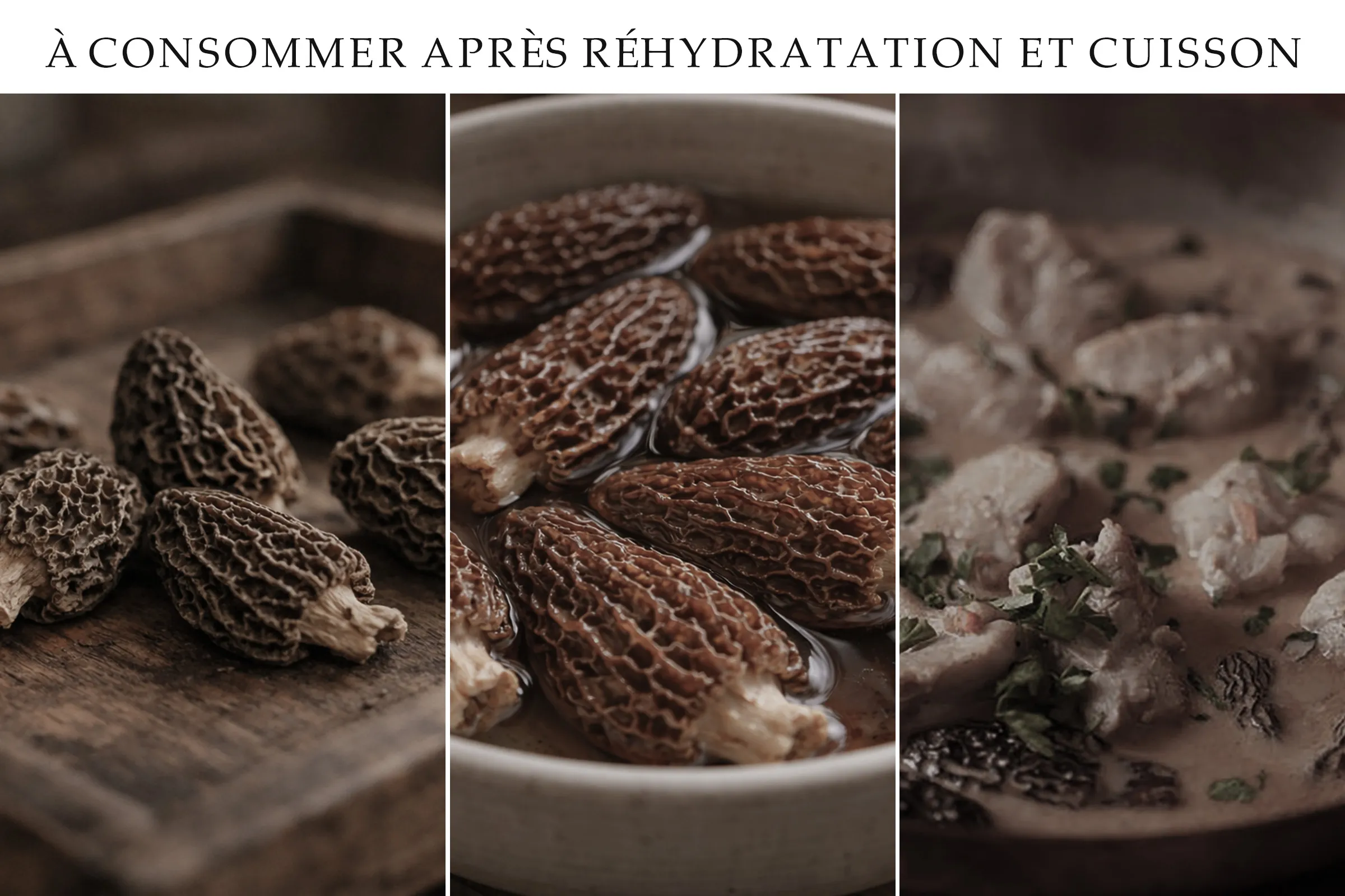 Morilles s&eacute;ch&eacute;es &agrave; consommer apr&egrave;s r&eacute;hydratation et cuisson compl&egrave;te