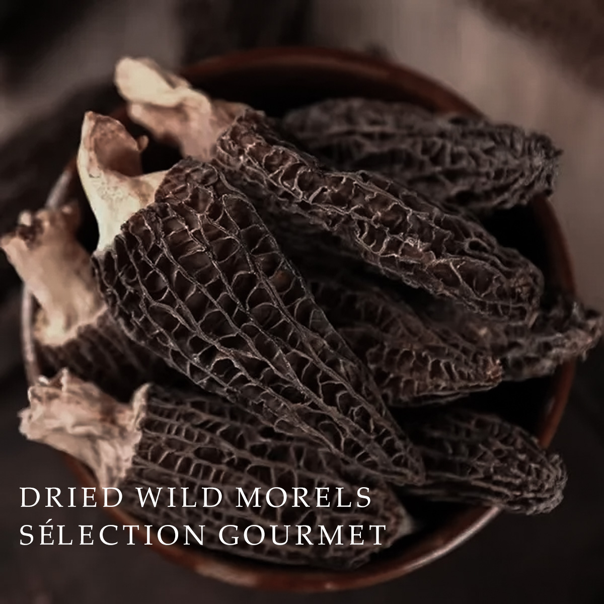 Morilles de Montagne - Sélection Artisanale