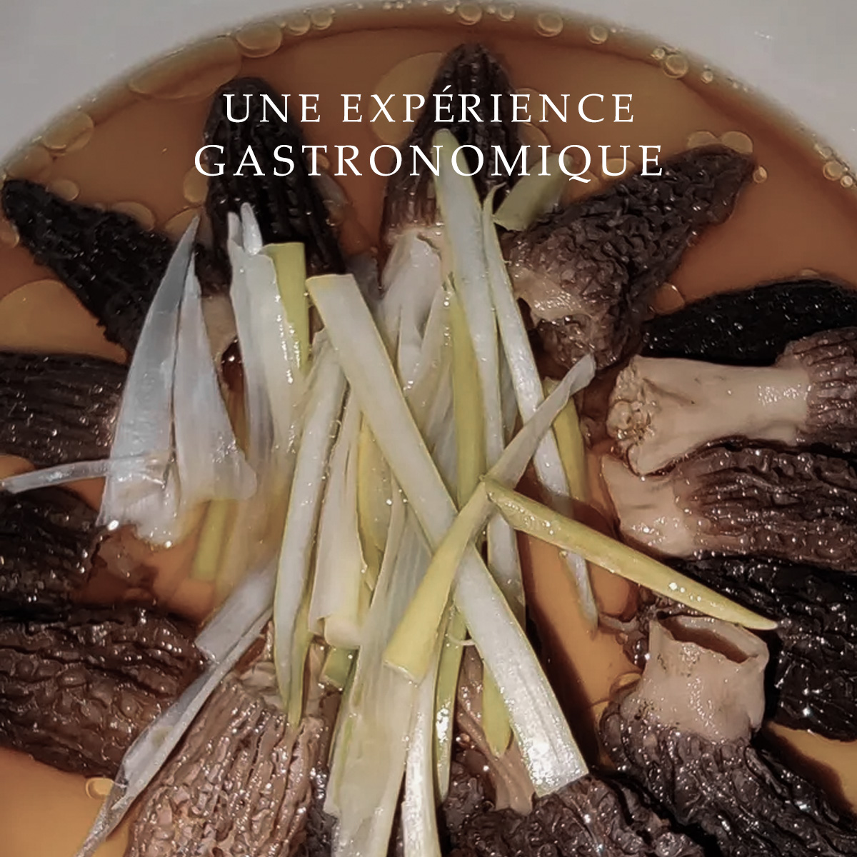 Morilles de Montagne - Sélection Artisanale