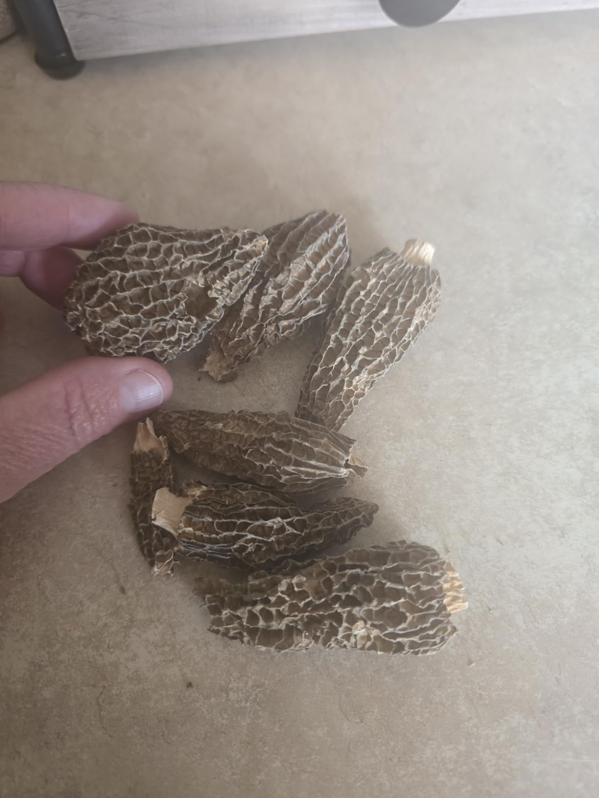 Morilles de Montagne - Sélection Artisanale review Ben Ke