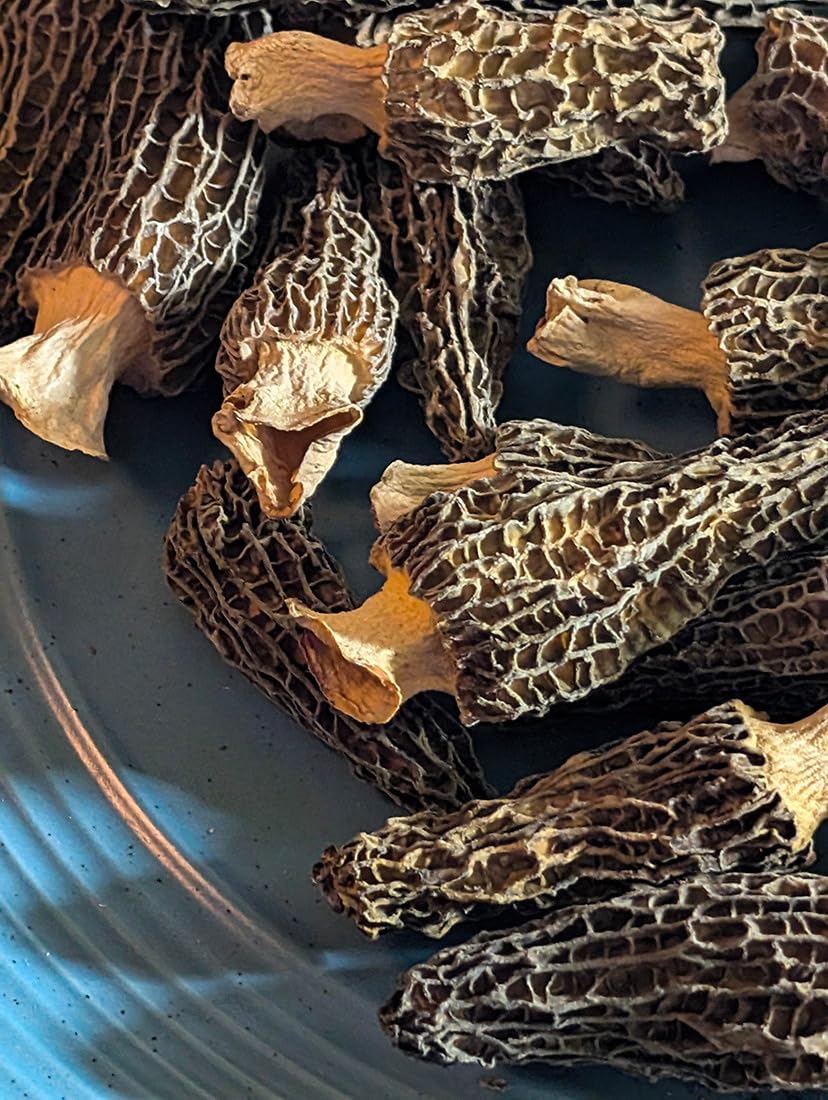 Morilles de Montagne - Sélection Artisanale review Yi PE