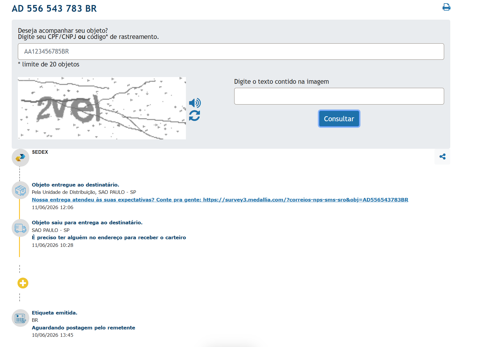 Comprovante de entrega CamisaGol com privacidade do cliente preservada
