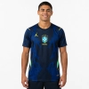 Camisa Torcedor Away do Brasil 2026