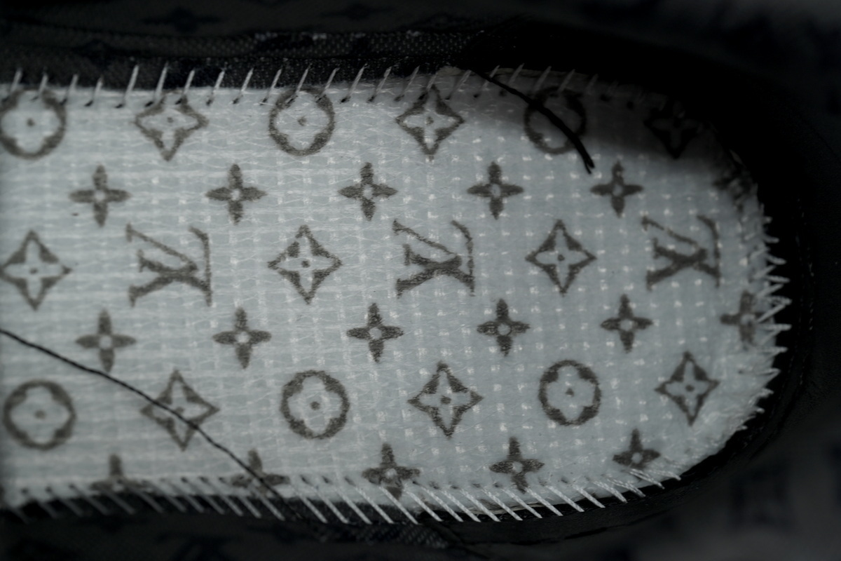 LOUIS VUITTON LV Skate Sneake  Plum Blossom Drill in Black