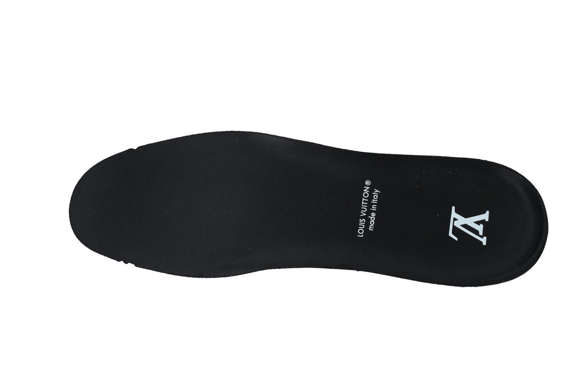 LOUIS VUITTON LV Skate Sneake  Plum Blossom Drill in Black