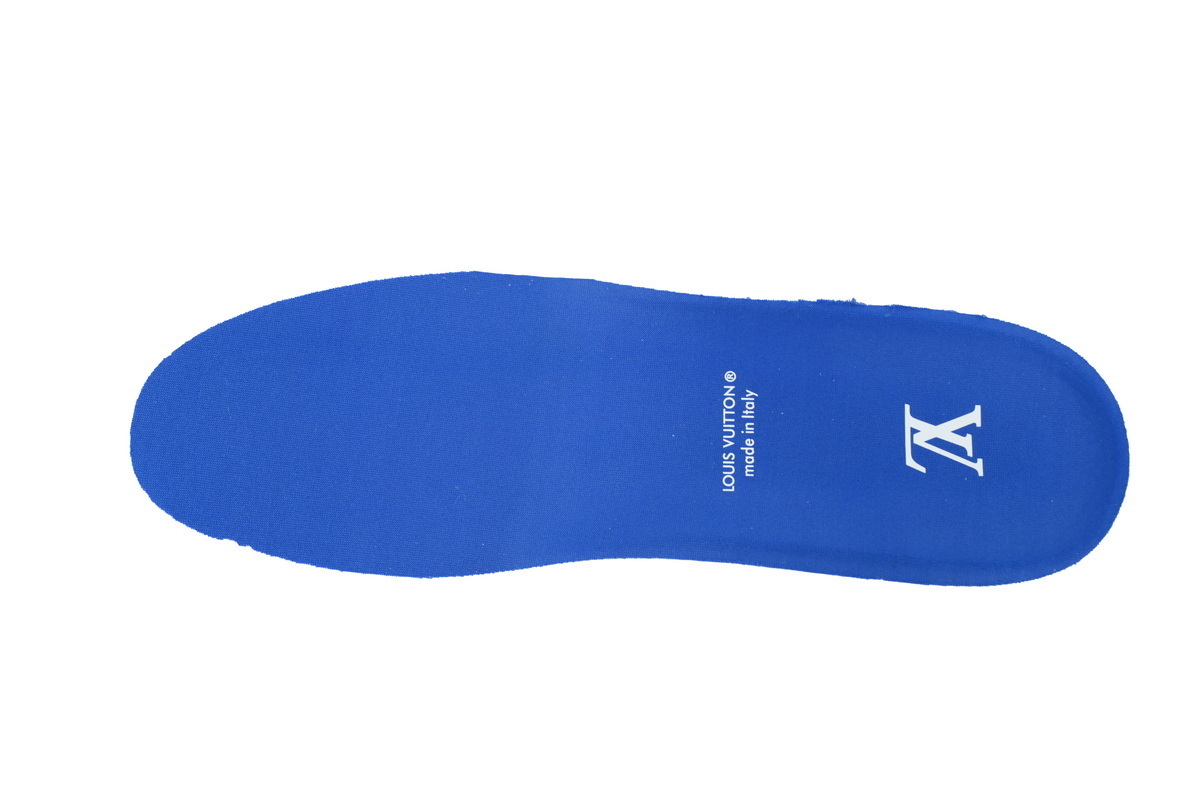Louis Vuitton Skate Blue