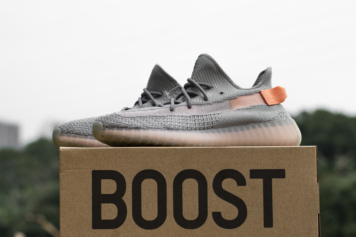 Adidas Yeezy Boost 350 V2 “True Form”EG7492 7492