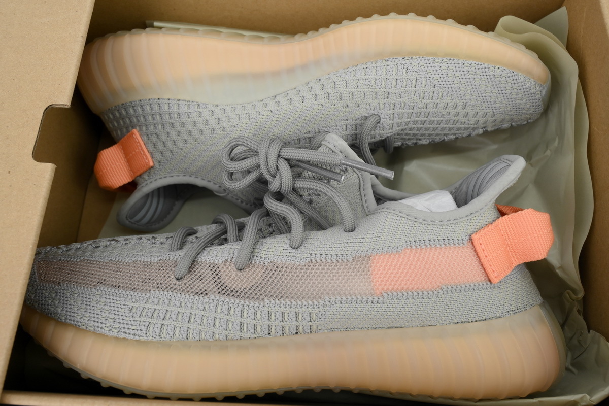 Adidas Yeezy Boost 350 V2 “True Form” 350 EG7492