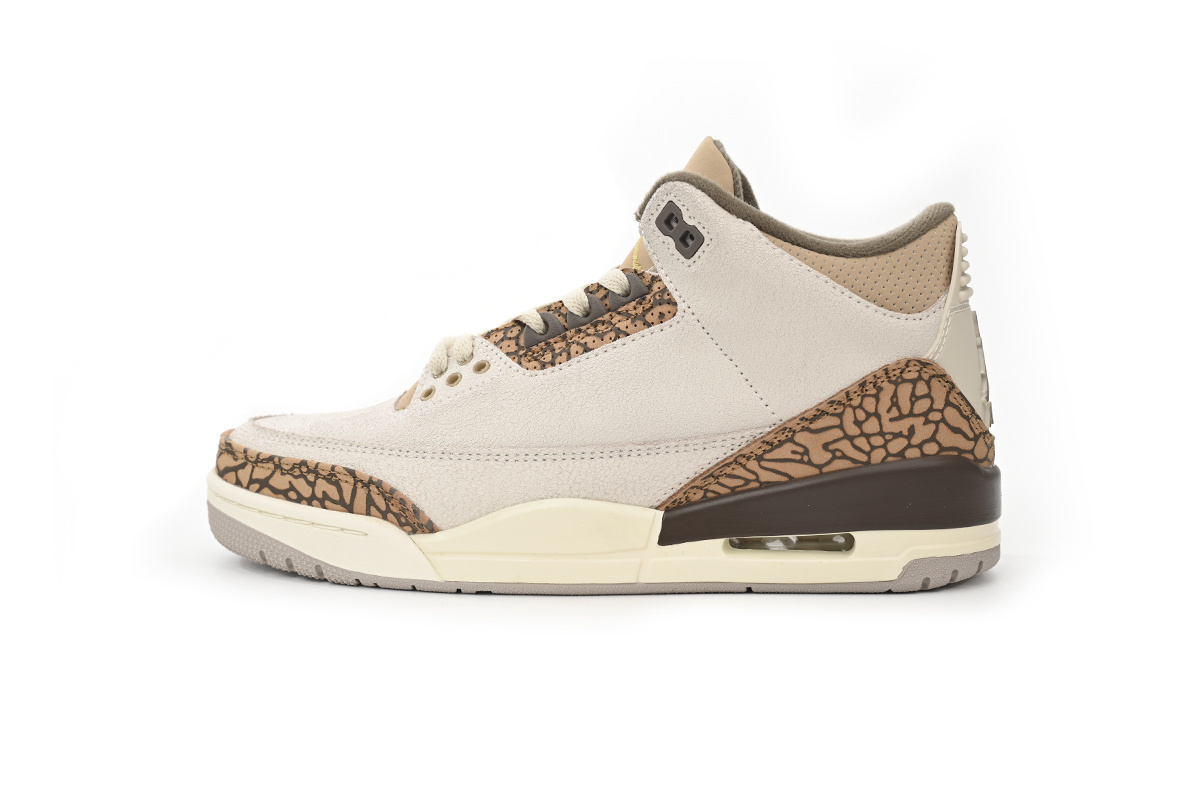 102 Air Jordan 3 Retro Cracked White Zongzi CT8532