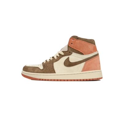 Air Jordan 1 High OG 'Dusted Clay' FQ2941-200 01