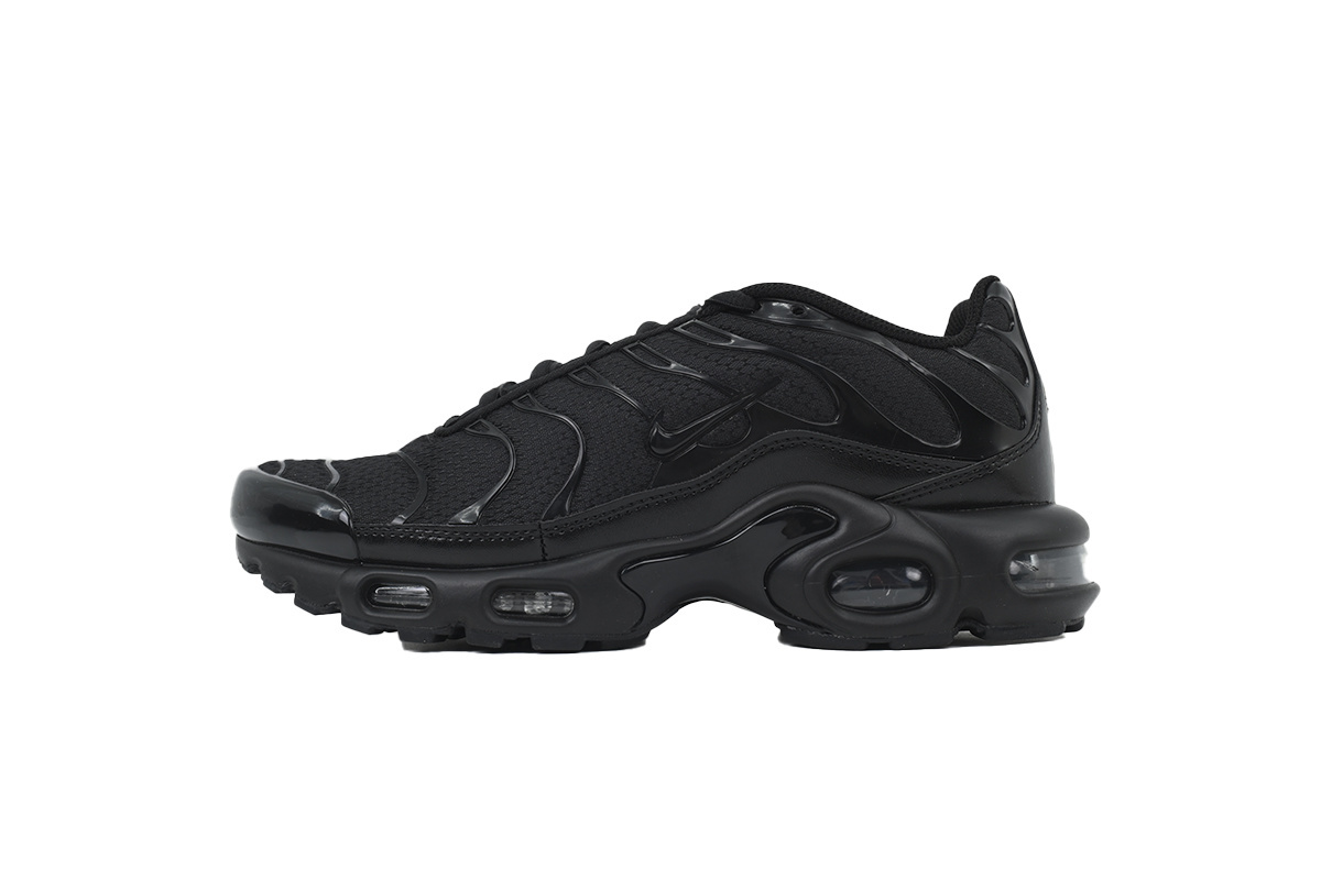 604133-050 Air Max Plus 'Triple Black'