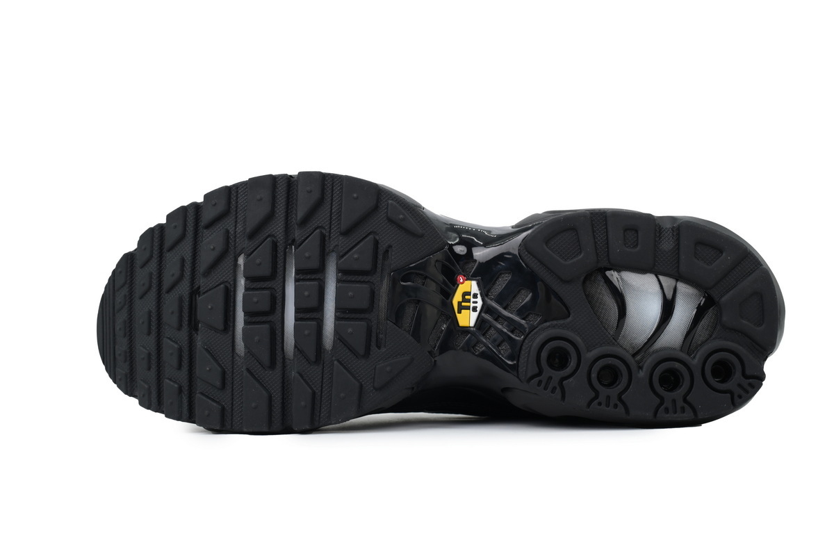 604133-050 Air Max Plus 'Triple Black'