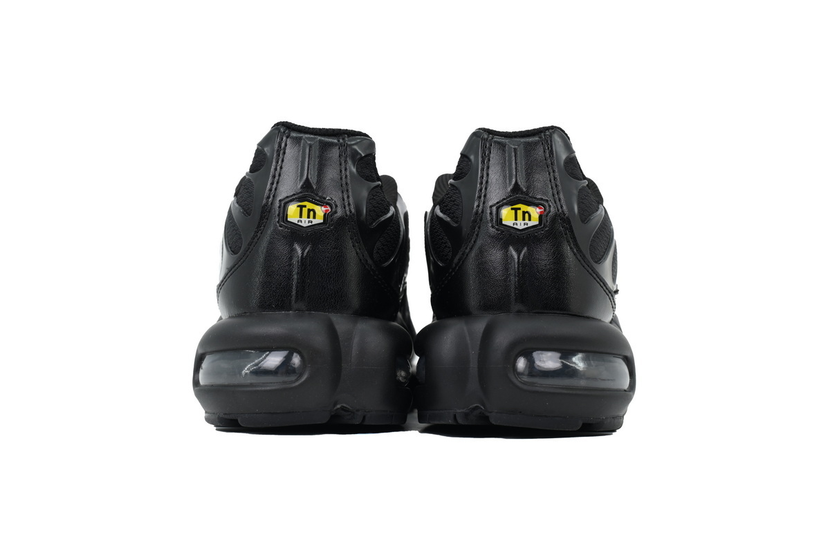 604133-050 Air Max Plus 'Triple Black'