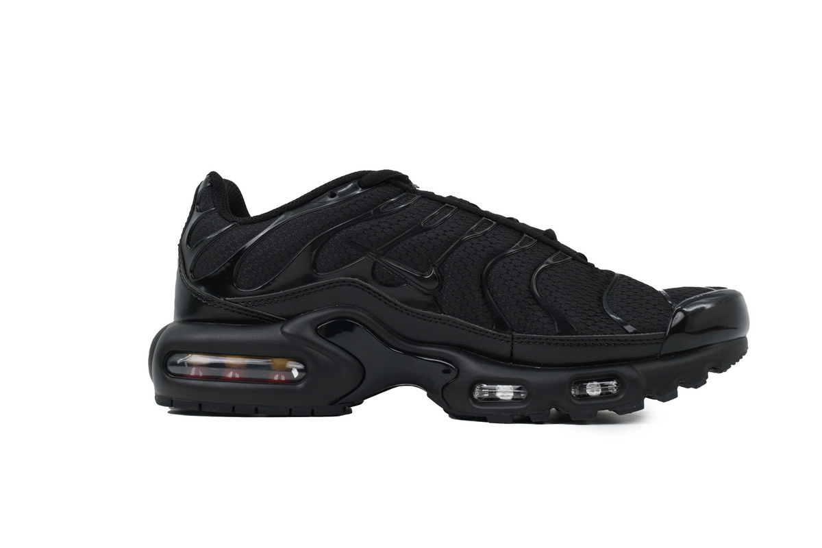 604133-050 Air Max Plus 'Triple Black'