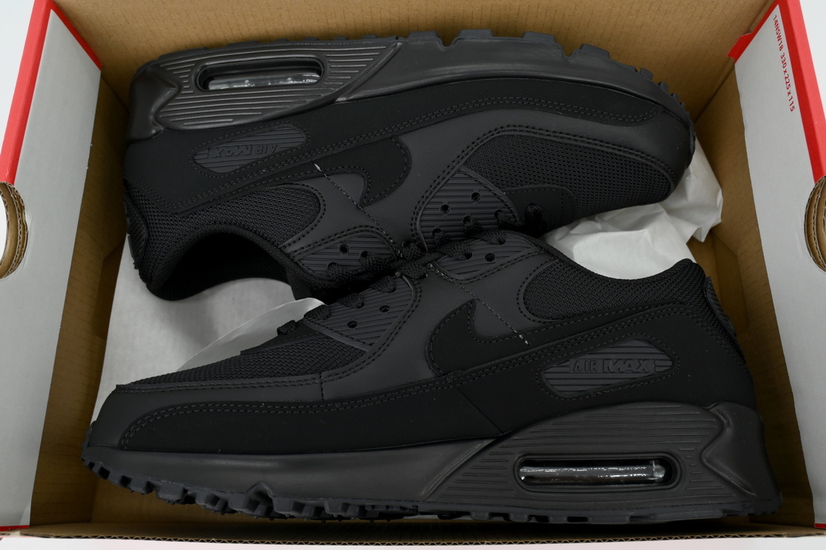 Air Max 90 'Triple Black' CN8490-003