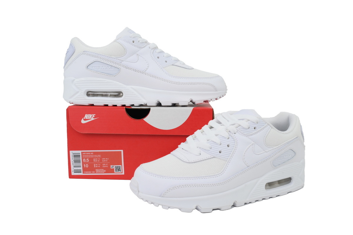 Air Max 90 'Triple White' CN8490-100