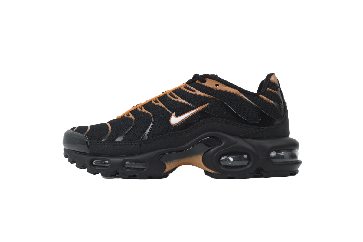 Air Max Plus 'Dark Obsidian Monarch' FN6949-400
